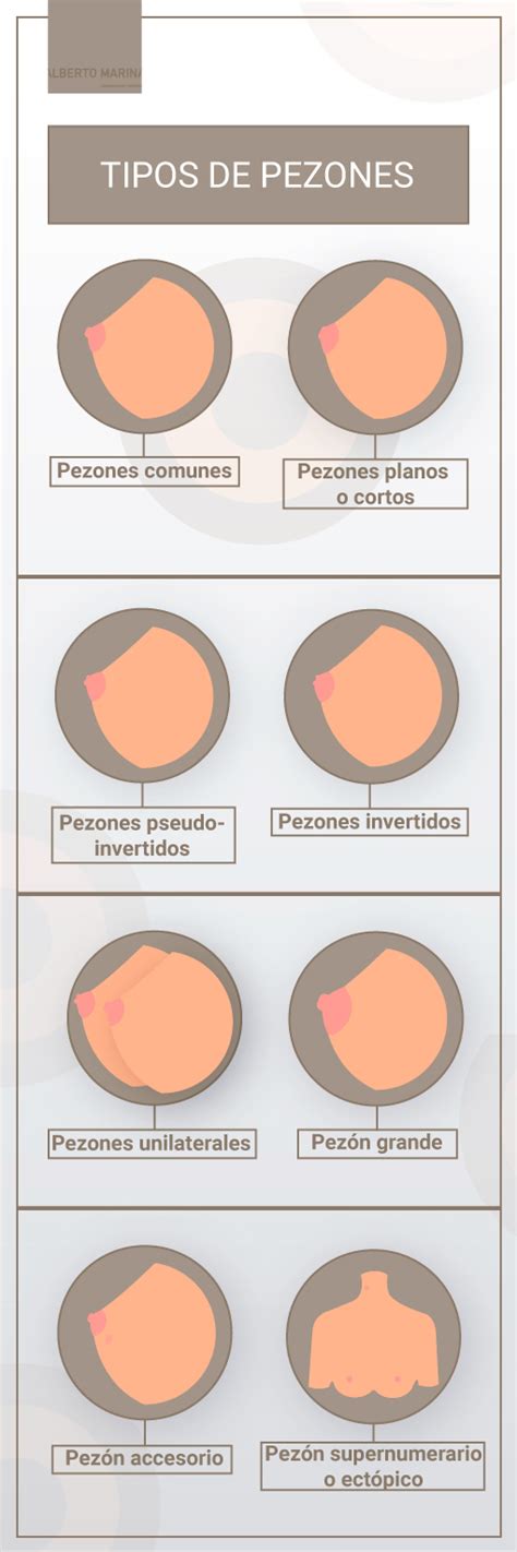 grandes pezones|9 TIPOS de PEZONES y sus características